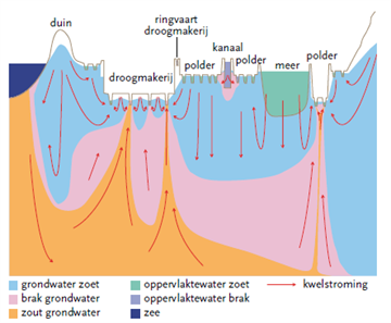 Dwarsdoorsnede West-Nederland ()TNO, 2007). Te zien is hoe zeewater en diep grondwater in de diepe polders in het oppervlaktewater terechtkomen.
